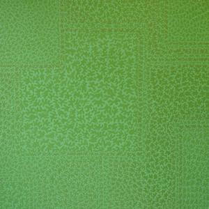 Particelle Elementari Particelle Elementari