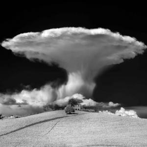 ArteForte 2011-Mario Vidor