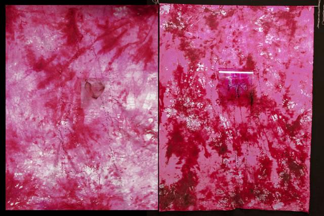 Figure a-tratto/e dalla surrealtà del giorno