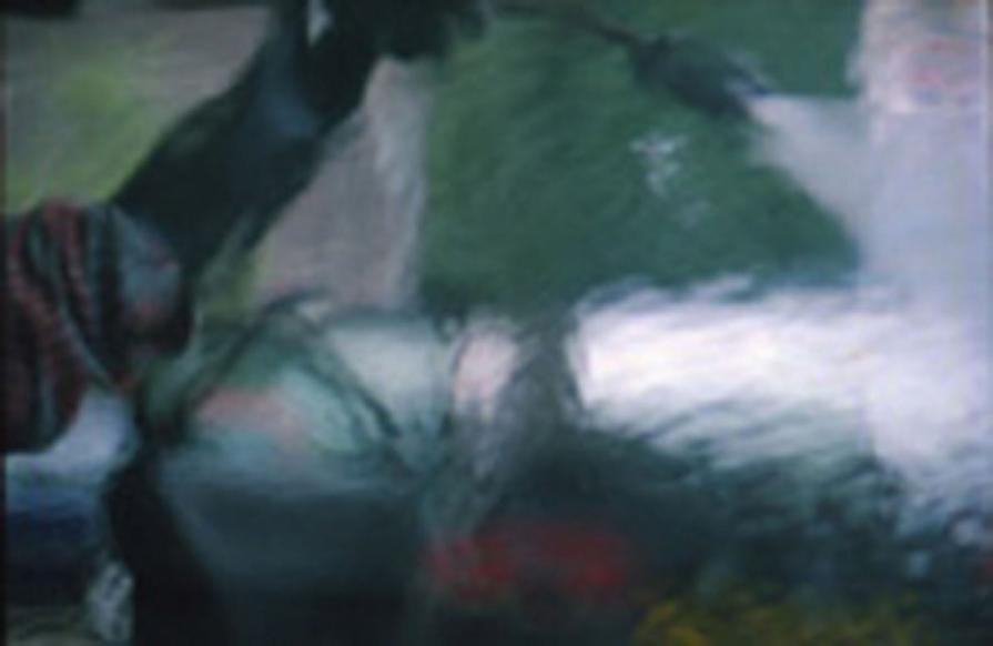 TEARS / SCAN TEARS / SCAN