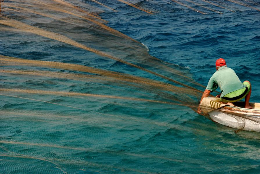 Traditional Fishing at Aegean Sea 