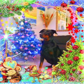 ... UN GRAZIE E' PER SEMPRE AUGURISSIMI DI CUORE .. CARA E DOLCE FAMIGLIA CERVELLERA !!!