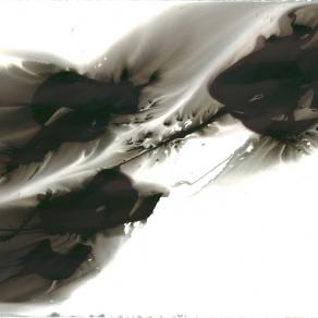 My private area of the protected landscape