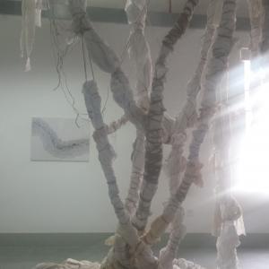 The Elephant in the Room The Elephant in the Room