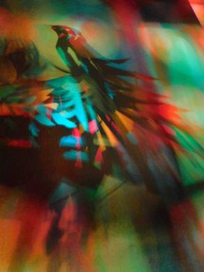 I COLORI DELLA BIODIVERSITÀ