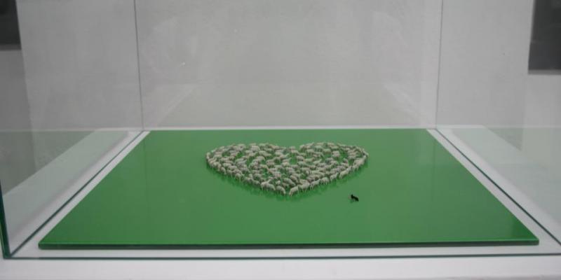 DISTOPIE | società fragile DISTOPIE | società fragile