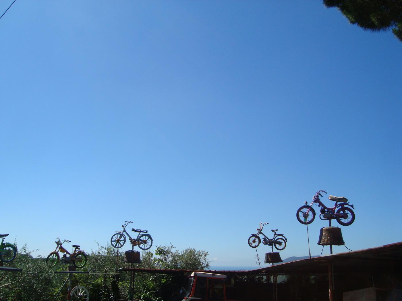 BANDO Temporary Monuments Fall Academy about Clusters of Contemporary Arts