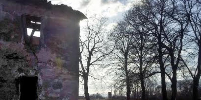 SOTTO IL CIELO D'EMILIA SOTTO IL CIELO D'EMILIA