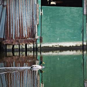 La Creatività al Femminile (Donne in Arte) La Creatività al Femminile (Donne in Arte)