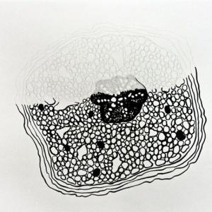 Naturacultura - Snaturati Naturacultura - Snaturati