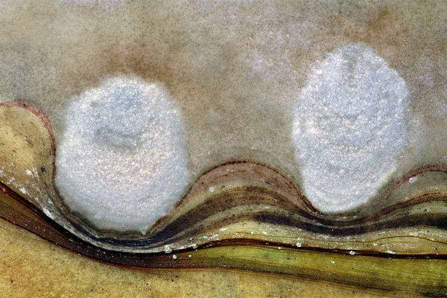 02-Nemmeno Le Galassie -