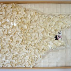 Mind-Map Trifasico - seconda fase