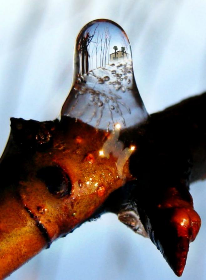 La casa sull'albero La casa sull'albero