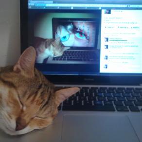 Mondo animale e mondo tecnologico a confronto