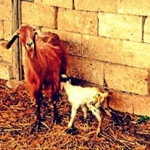 LUNEDI' DI PASQUETTA