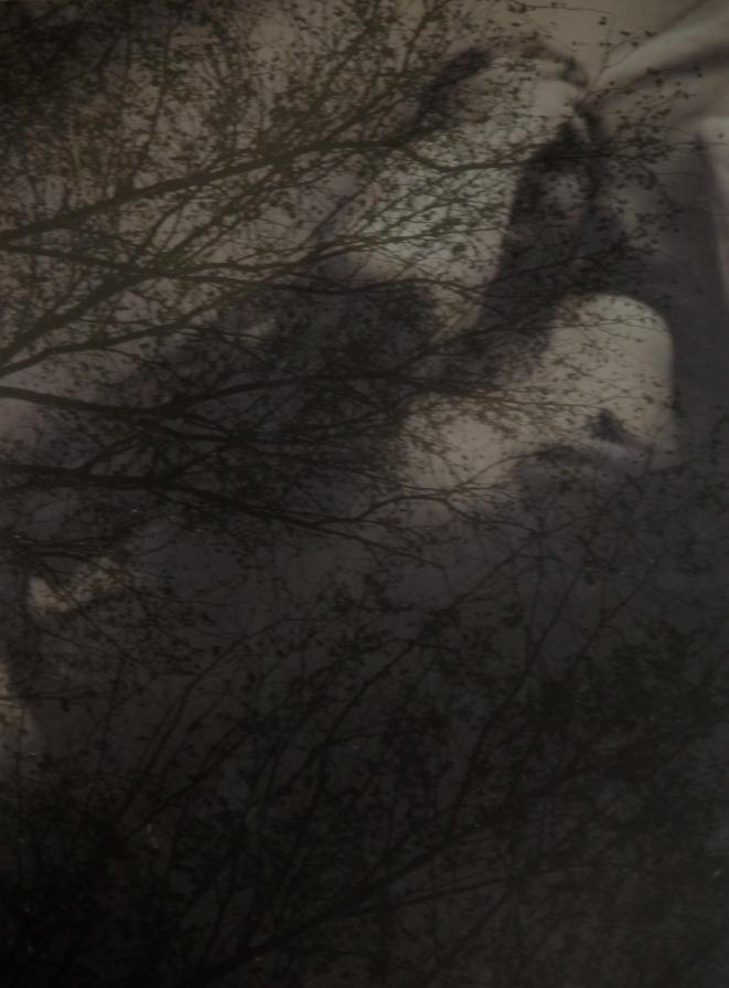 ritratto di C. ritratto di C.