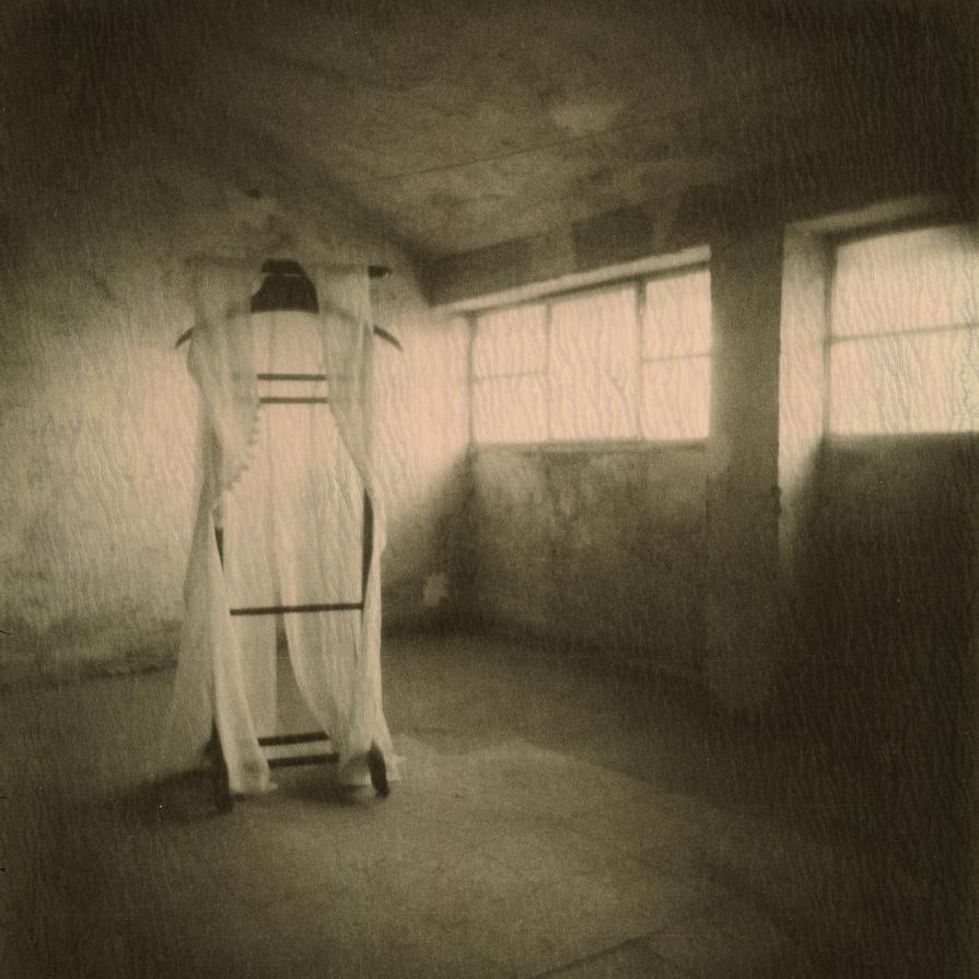 Studio sul movimento Studio sul movimento