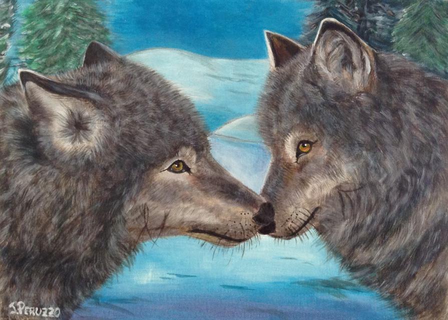 Chi ha paura del lupo cattivo?