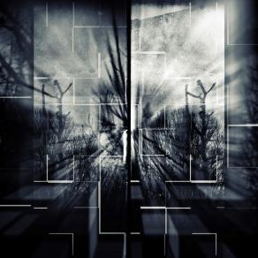 Visione frammentata di un'unica esperienza