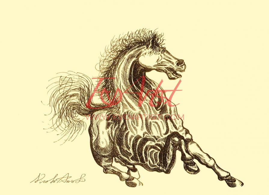 Attitude - Tributo ad un maestro romano