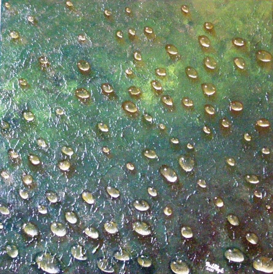 "La sofferenza della natura"