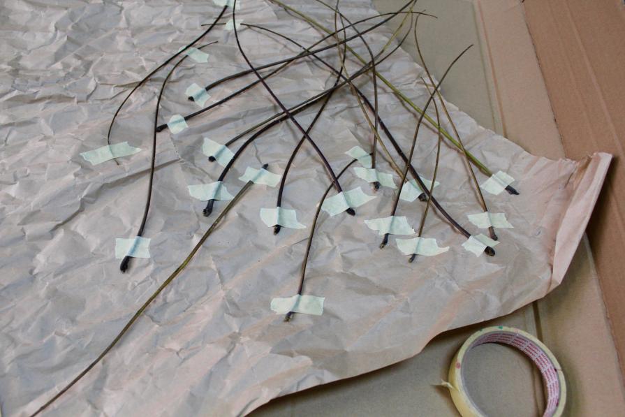 Picked up these twigs