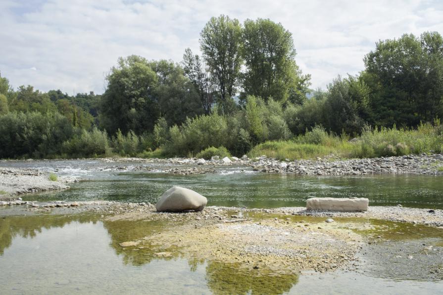 Vorrei essere altro, vorrei essere me.