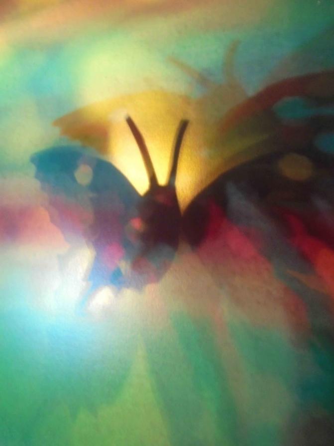 I colori della biodiversità -2017