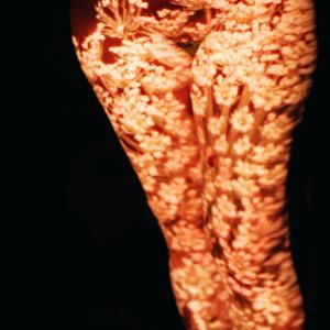 VESPER/TIME VESPER/TIME