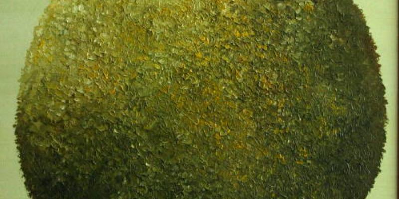 Golden tree Golden tree