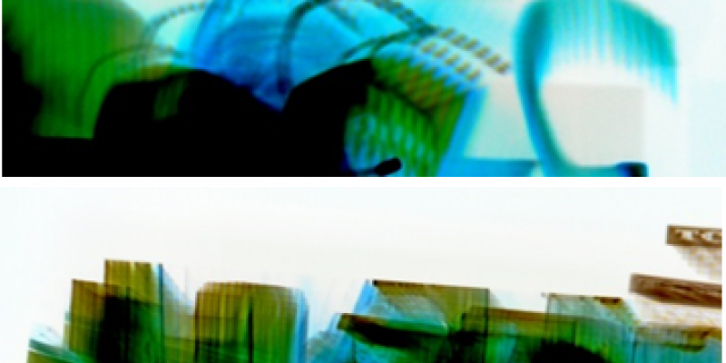 Metamorphosis 2012- 2013