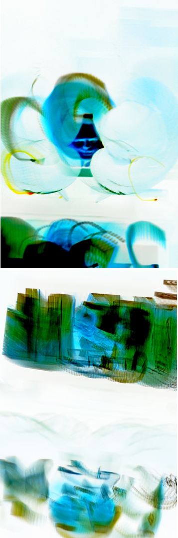 Metamorphosis 2012- 2013