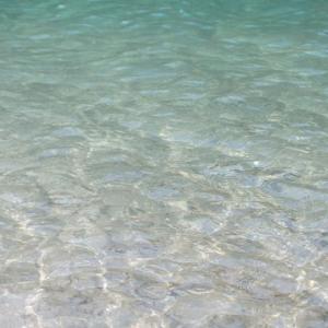 Donauwellen- onde del Danubio