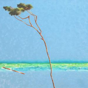 HUMAN BEING: Corti, Manzella, Orfeo e Taddei espongono alla Galleria EVENTI