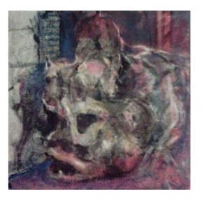 combattimento tra cani