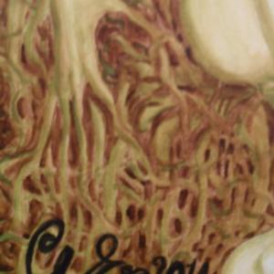 Streghette in trasformazione e agglomerazione driadica - Gorgonillae (particolare)