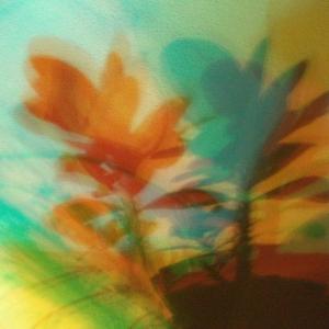 I colori della biodiversità -2015