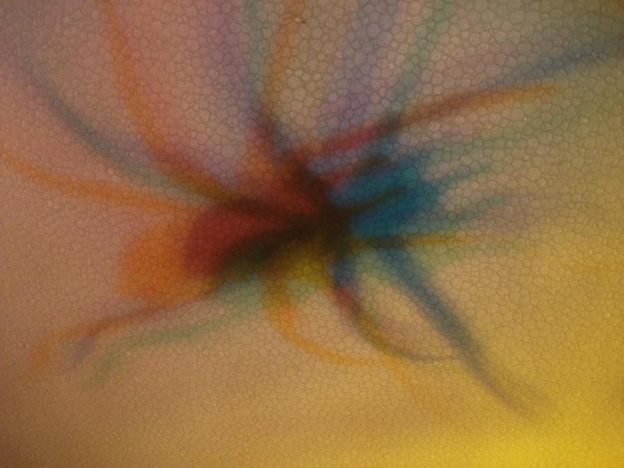 I colori della biodiversità -2015