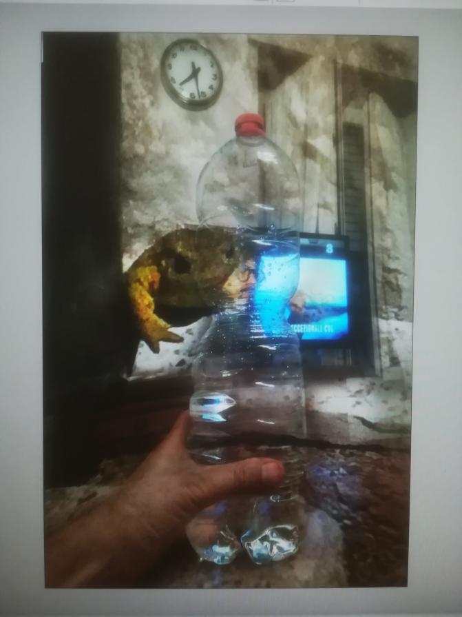 Elaborare la solitudine a distanza. 