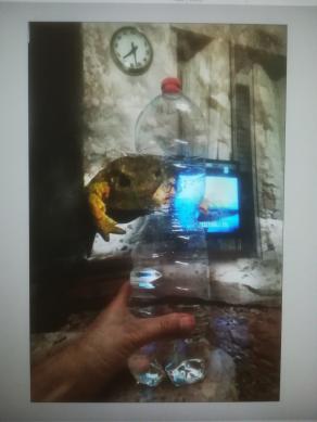 Elaborare la solitudine a distanza. 