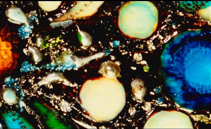 Da "I segreti del mare" : - La nascita di una Sirena - (particolare) Da "I segreti del mare" : - La nascita di una Sirena - (particolare)