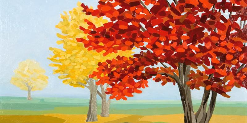 CON GLI OCCHI DELL'ANIMA