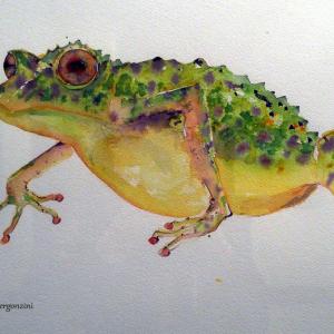 ANIMALS ART al Club La Meridiana di Modena