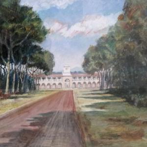 San Rossore .... Naturale bellezza