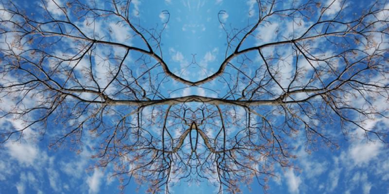 Viaggio nella Fragilità/Creatives Cities