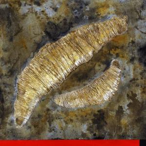 LOST AND FOUND Mutazione ed Evoluzione