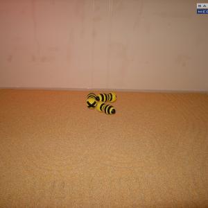 " BIOUNICITA' " di Vito Mazzocchi