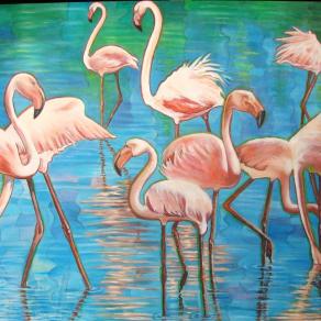 “Phoenicopterus”  