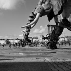 L'elefante e la bambina