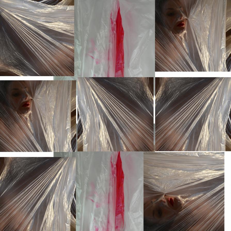 we raise the veil we raise the veil